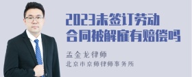 2023未签订劳动合同被解雇有赔偿吗