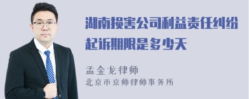 湖南损害公司利益责任纠纷起诉期限是多少天