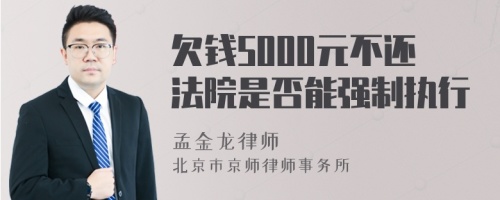 欠钱5000元不还法院是否能强制执行