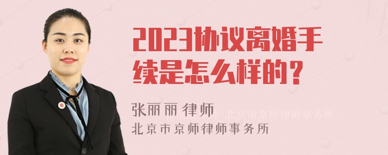 2023协议离婚手续是怎么样的？