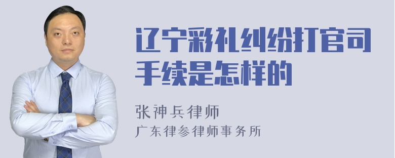 辽宁彩礼纠纷打官司手续是怎样的