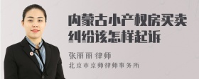 内蒙古小产权房买卖纠纷该怎样起诉