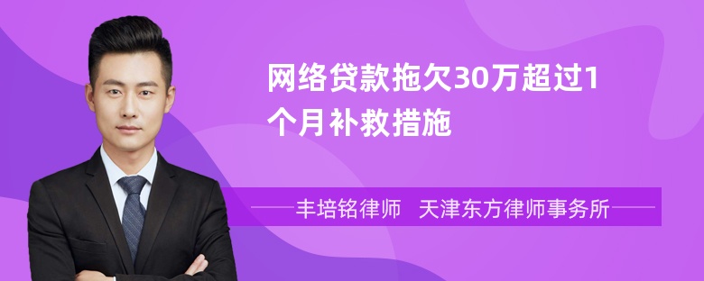 网络贷款拖欠30万超过1个月补救措施