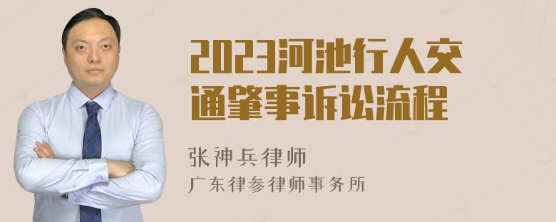 2023河池行人交通肇事诉讼流程