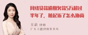 网络贷款逾期欠款5万超过半年了，被起诉了怎么协商