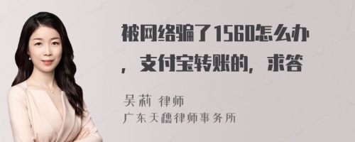 被网络骗了1560怎么办，支付宝转账的，求答