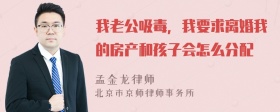 我老公吸毒，我要求离婚我的房产和孩子会怎么分配