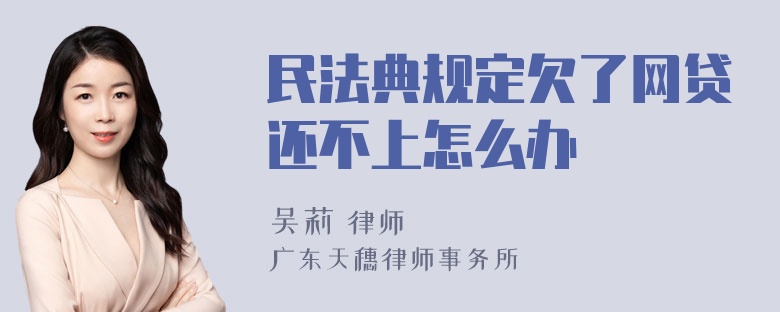 民法典规定欠了网贷还不上怎么办