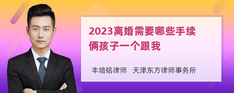 2023离婚需要哪些手续俩孩子一个跟我