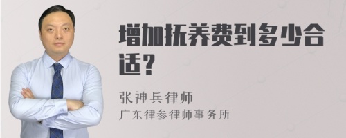 增加抚养费到多少合适？