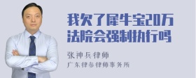 我欠了犀牛宝20万法院会强制执行吗