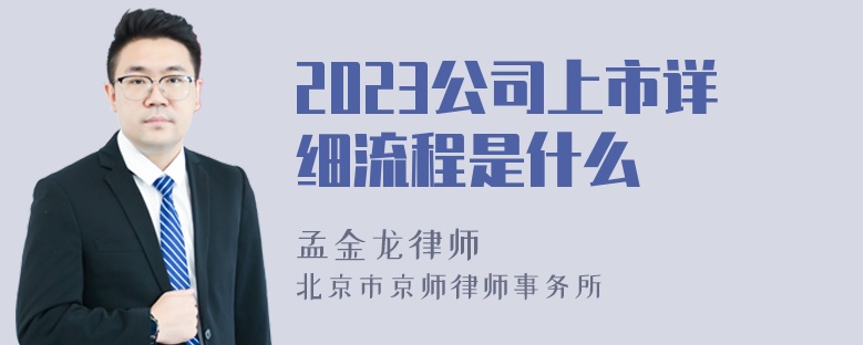 2023公司上市详细流程是什么