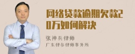 网络贷款逾期欠款20万如何解决