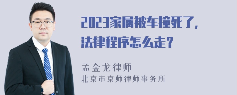 2023家属被车撞死了，法律程序怎么走？