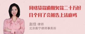 网络贷款逾期欠款二十万好几个月了会被告上法庭吗