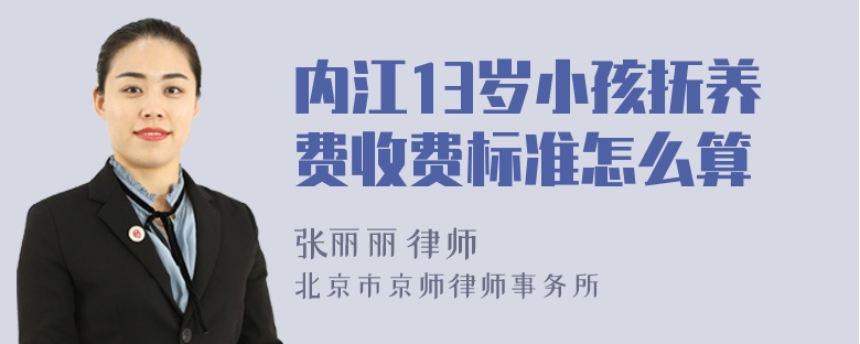 内江13岁小孩抚养费收费标准怎么算