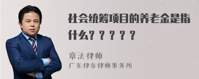 社会统筹项目的养老金是指什么？？？？？