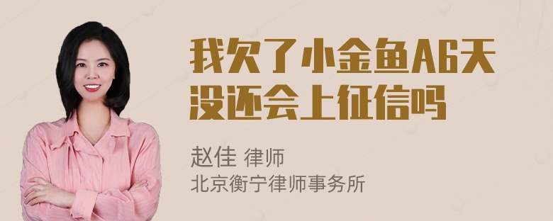 我欠了小金鱼A6天没还会上征信吗