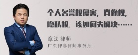 个人名誉权侵害，肖像权，隐私权，该如何去解决……