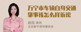 万宁市车辆自身交通肇事该怎么样诉讼