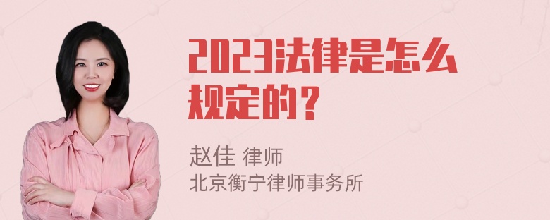 2023法律是怎么规定的？