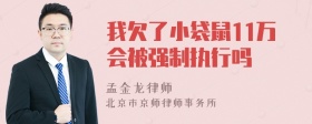 我欠了小袋鼠11万会被强制执行吗