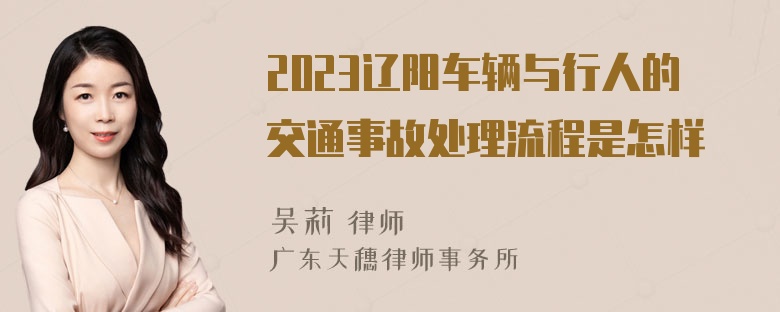 2023辽阳车辆与行人的交通事故处理流程是怎样