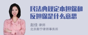 民法典规定本担保和反担保是什么意思