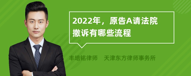 2022年，原告A请法院撤诉有哪些流程