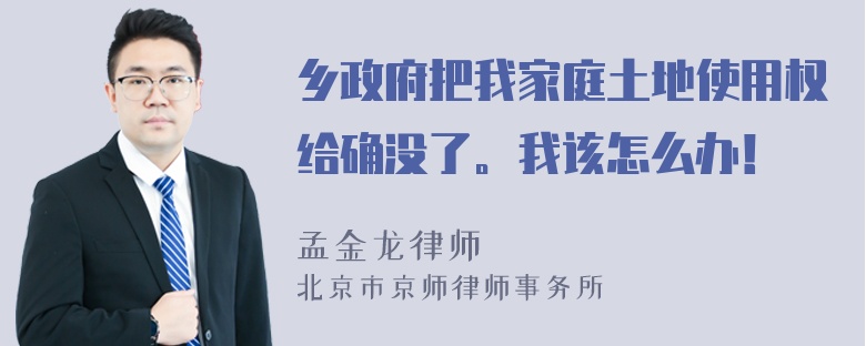 乡政府把我家庭土地使用权给确没了。我该怎么办！