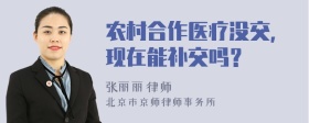 农村合作医疗没交，现在能补交吗？