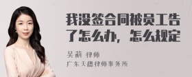 我没签合同被员工告了怎么办，怎么规定