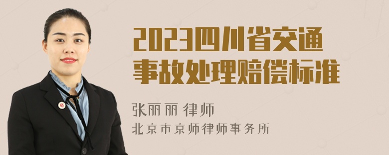 2023四川省交通事故处理赔偿标准