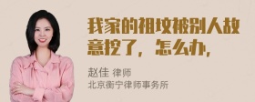 我家的祖坟被别人故意挖了，怎么办，