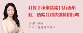 我欠了小米贷款11万还不起，法院会对我强制执行吗