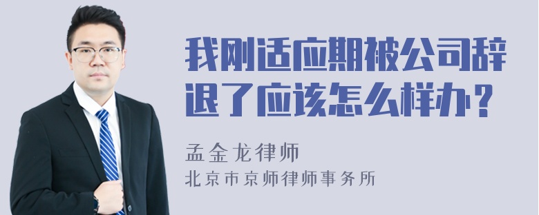 我刚适应期被公司辞退了应该怎么样办？