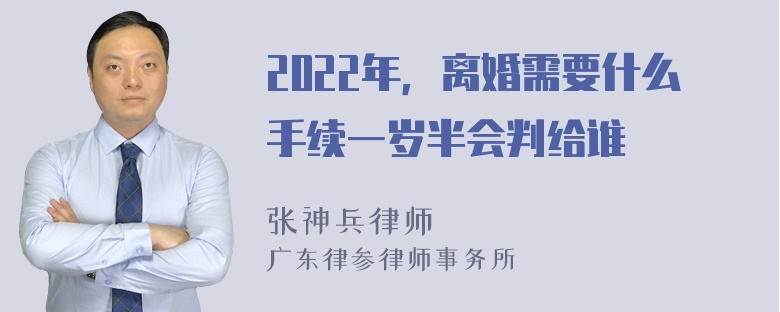 2022年，离婚需要什么手续一岁半会判给谁