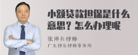 小额贷款担保是什么意思？怎么办理呢