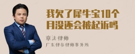 我欠了犀牛宝10个月没还会被起诉吗