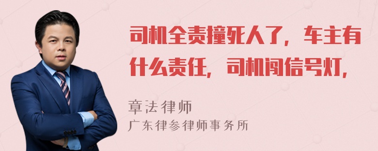 司机全责撞死人了，车主有什么责任，司机闯信号灯，