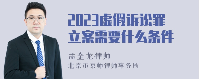 2023虚假诉讼罪立案需要什么条件