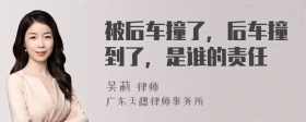 被后车撞了，后车撞到了，是谁的责任