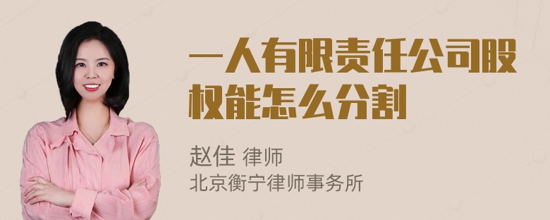 一人有限责任公司股权能怎么分割