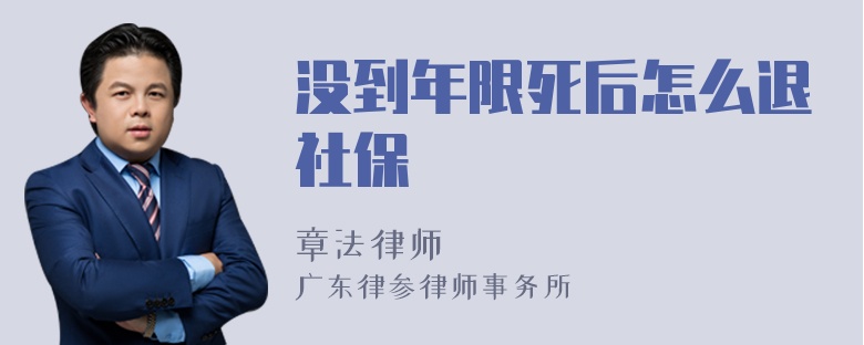 没到年限死后怎么退社保