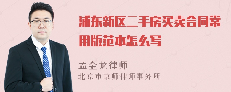 浦东新区二手房买卖合同常用版范本怎么写