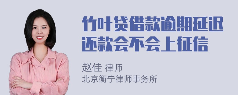 竹叶贷借款逾期延迟还款会不会上征信