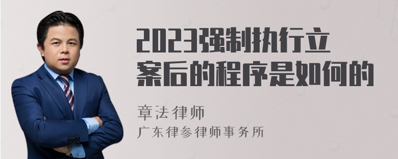 2023强制执行立案后的程序是如何的
