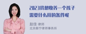 2023我想收养一个孩子需要什么样的条件呢