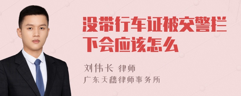 没带行车证被交警拦下会应该怎么