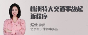 株洲特大交通事故起诉程序